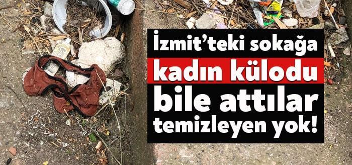 Kocaeli'nin İzmit ilçesinde yer alan bir sokak uzun süredir temizlenmiyor.