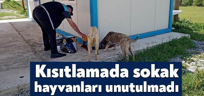 Kocaeli Büyükşehir Belediyesi sokağa çıkma kısıtlaması boyunca aç kalma riskiyle