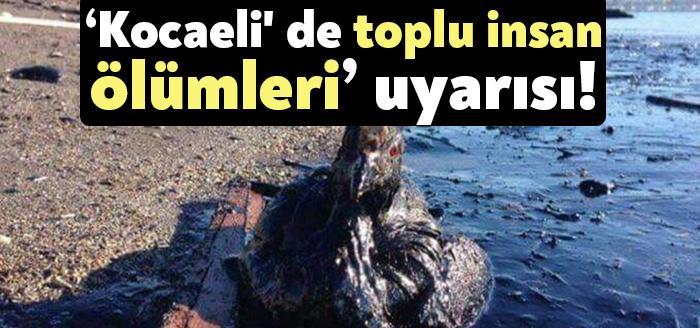 ‘Kocaeli’ de toplu insan ölümleri’ uyarısı!