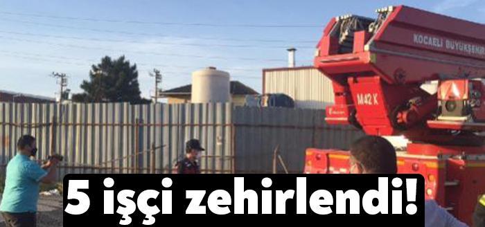 Kocaeli Gebze ilçesinde sanayi gaz üreten bir fabrikanın bahçesinde bulunan