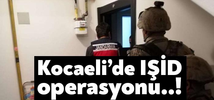 Balıkesir merkezli aralarında Kocaeli'nin de bulunduğu 11 ilde yürütülen DEAŞ