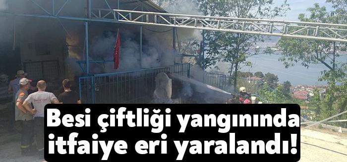 Kocaeli'nin Gölcük ilçesindeki besi çiftliğinin samanlık kısmında çıkan yangın yaklaşık
