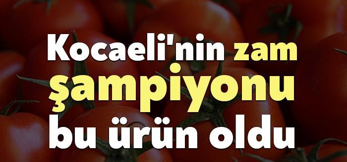 Türkiye İstatistik Kurumu (TUİK) Kocaeli Bölge Müdürlüğü, Tüketici Fiyatları Endeksi ve Yurtiçi Üretici