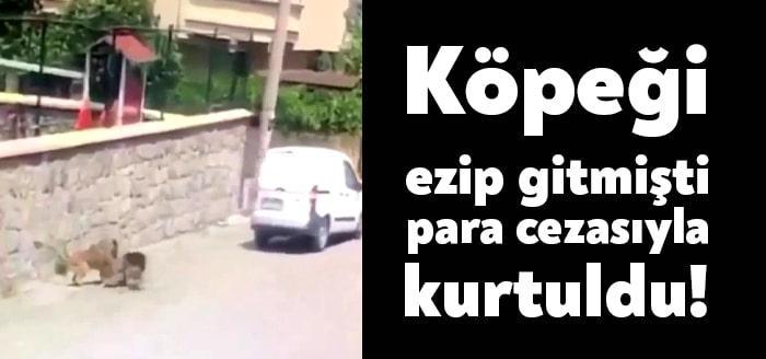 Kocaeli'nin Gebze ilçesinde yolda yatan köpeğin üzerinden aracıyla geçip ölümüne
