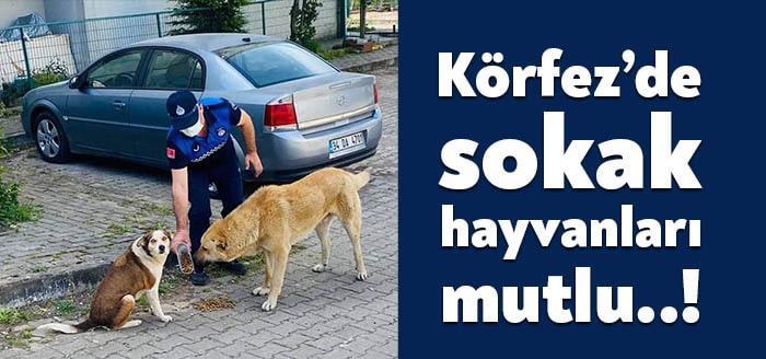 Körfez Belediyesi, koronavirüs salgını tedbirleri kapsamında uygulanan sokağa çıkma kısıtlaması