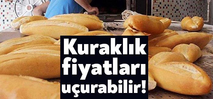 Buğday, arpa, kırmızı mercimek ve mısır gibi ürünlerde bu yıl