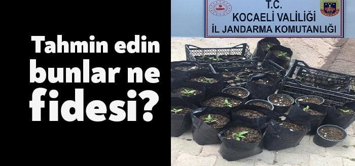 Kocaeli İl Jandarma Komutanlığı'na bağlıu ekiplerin Körfez ilçesinde girdikleri bir