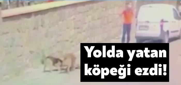 Kocaeli’nin Gebze ilçesinde bir şahıs, yolda yatan köpeği fark etmeyerek