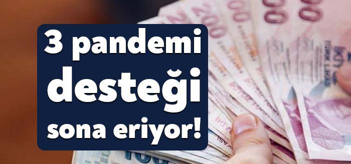 Koronavirüs salgınında ekonomik mağduriyetleri önlemek ve istihdamı korumak amacıyla sağlanan