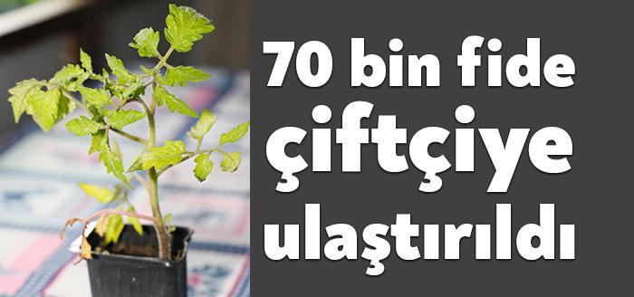 Körfez Belediyesi, 300 çiftçiye sertifikalı buğday yardımı ve ücretsiz toprak