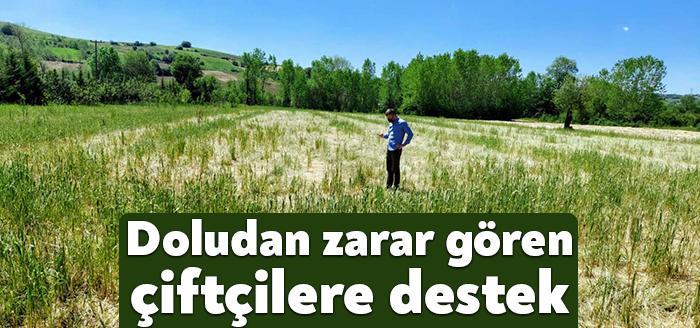 Kocaeli Büyükşehir Belediyesi, Derince ilçesinde ekili tarlaları doludan zarar gören