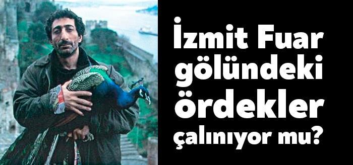 Sosyal medyada kısa sürede yayılan bir videoda İzmit Fuar alanındaki