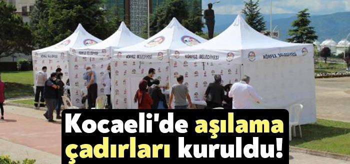 Kocaeli'nin Körfez ilçesinde aşılama çalışmaları kapsamında Kaymakamlık hizmet binasının bahçesine