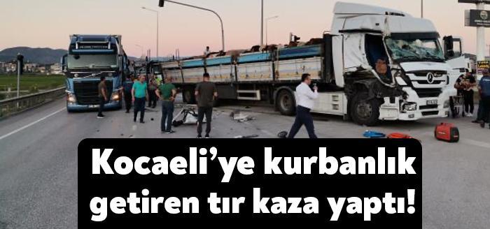Gümüşhane'den Kocaeli'ne kurbanlık götüren İslam Acar'ın kullandığı 29 AAJ 829