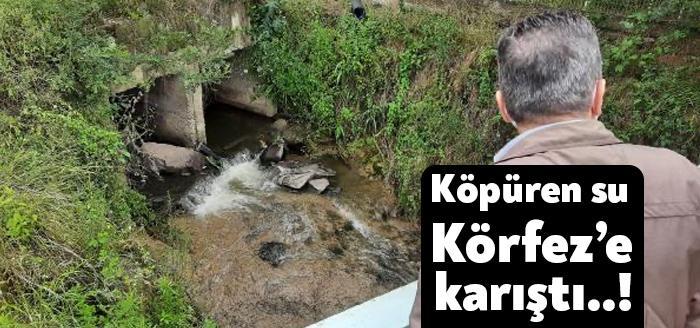Kocaeli'nin Kartepe ilçesinden geçen Kule Deresi, atık sularla rengi koyulaşırken,