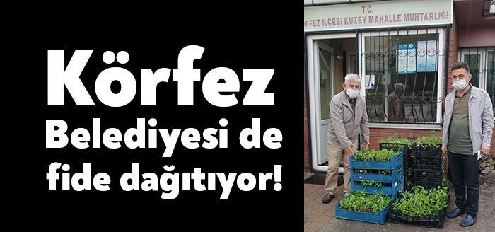 CHP'li İzmit Belediyesi geçtiğimiz günlerde İBB'den aldığı fideleri vatandaşlara dağıtmıştı.