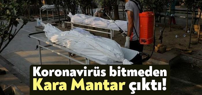 Corona nedeniyle hayatın kabusa döndüğü ülkede şimdi de kara mantar