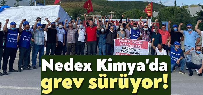Nedex Kimya işçilerinin grevi devam ediyor. Grevdeki işçilere Gebze