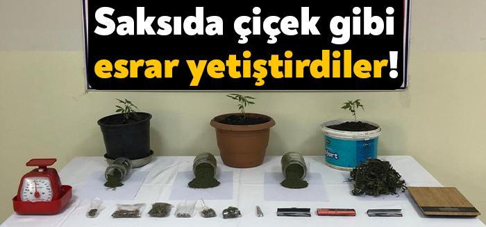 Kocaeli İl Jandarma Komutanlığınca, 16.06.2021 günü İzmit ilçesinde Uyuşturucu ile