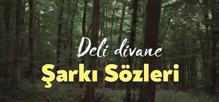 Sezen Aksu Deli Divane Şarkı Sözleri dinleyiciler tarafından merak ediliyor.