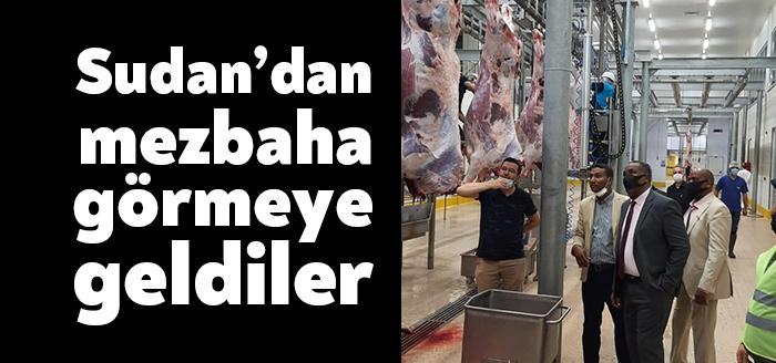 Sudan’dan gelen ve ülkelerinde mezbaha kurmak isteyen heyet, Kocaeli Büyükşehir
