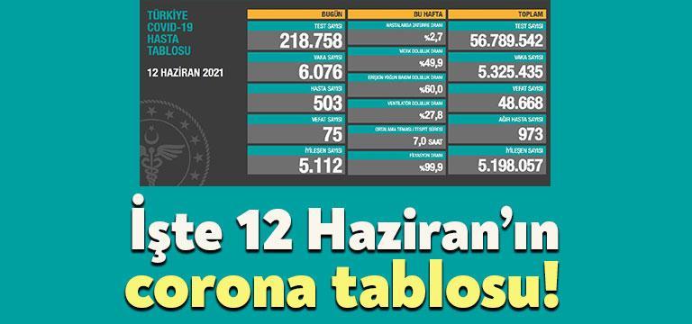 Sağlık Bakanlığı tarafından güncel corona verileri açıklandı. Vefat sayısında ise