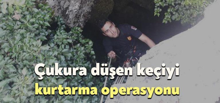 Kocaeli'nin Dilovası ilçesinde yaklaşık 10 metrelik çukura düşen keçi itfaiye