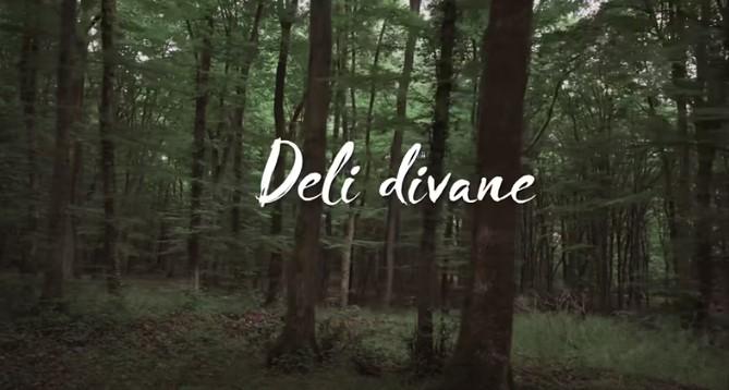 Sezen Aksu Deli Divane Sarki Sozleri