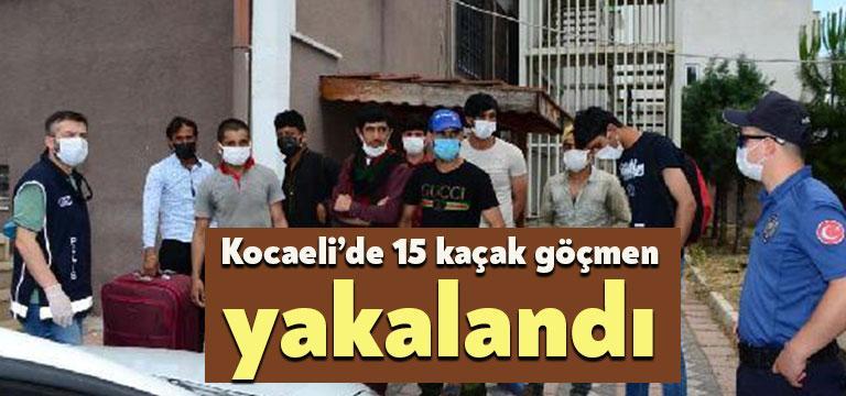 Kocaeli'de polisin düzenlediği operasyonda 15 kaçak göçmen yakalandı. Operasyonda kaçak