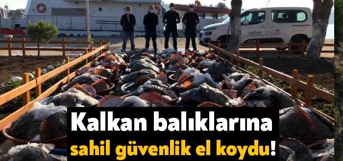 Kocaeli'nin Kandıra ilçesinde Sahil Güvenlik ekiplerince balıkçı barınağında yapılan denetimlerde