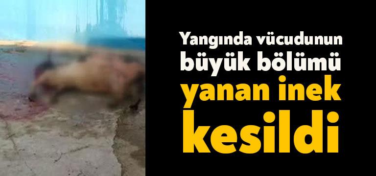 Kocaeli'de bir evin ahırında başlayan yangın 2 katlı evin çatısına