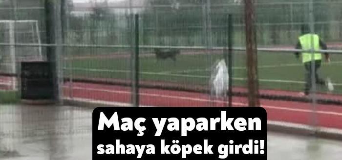 Kocaeli'nin Başiskele ilçesinde Bölgesel Amatör Lig (BAL) maçında sahaya giren