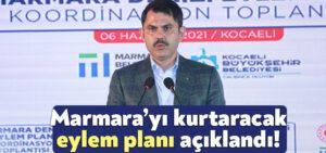 Marmara Denizi müsilaj eylem planı açıklandı!