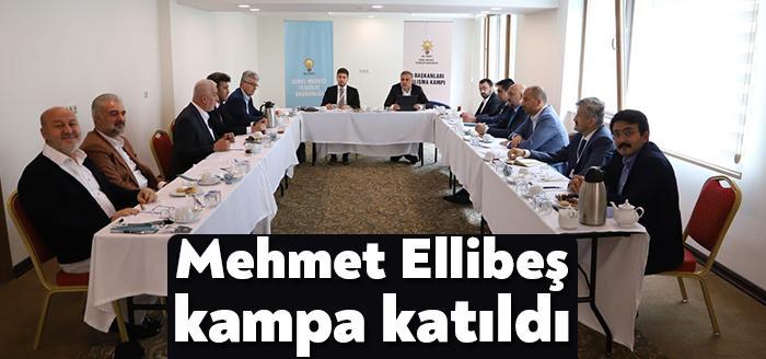 AK Parti Kocaeli İl Başkanı Mehmet Ellibeş, Genel Merkez Teşkilat