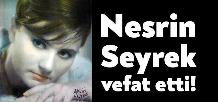 İzmit'in efsane fotoğrafçılarından olan Fahri Seyrek'in kızı olan Nesrin Seyrek