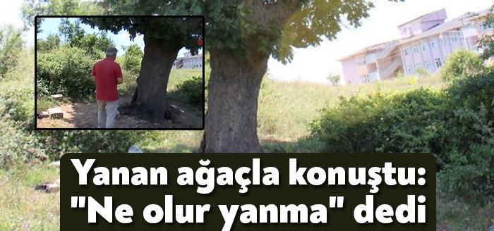 Kocaeli Çayırova ilçesinde yol kenarındaki ağaç ateşe verilirken, bir kişi ağaca dokunarak,