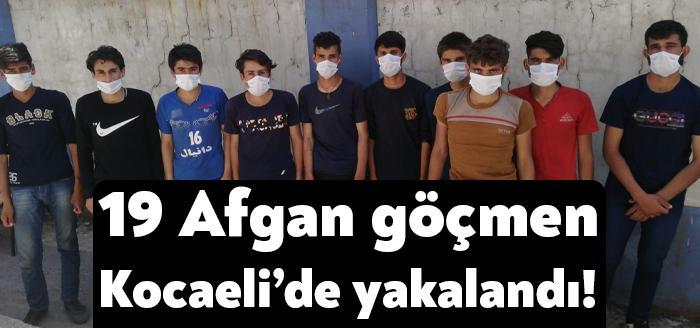 Kocaeli Emniyet Müdürlüğü ekipleri tarafından düzenlenen kaçak göçmen operasyonında Afganistan