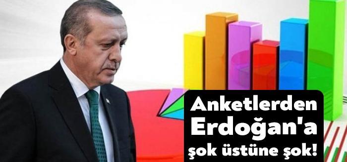 Dünya üzerinde yayımlanan anketleri bünyesinde toplayarak sosyal medya hesaplarından paylaşan