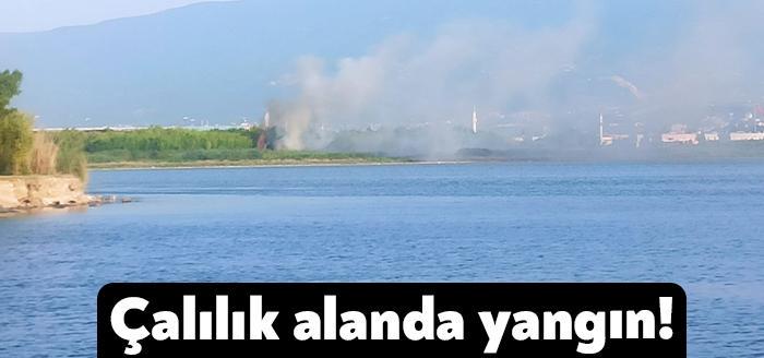 Kocaeli'nin İzmit ilçesinde bugün öğle saatlerinde çalılık alanda yangın meydana
