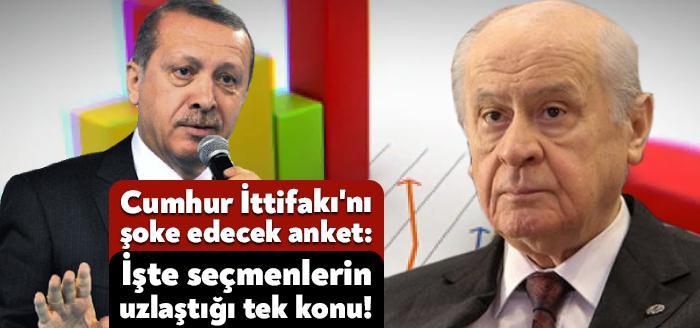 Türkiye arka arkaya mülteci akınına uğrarken Ak Parti kanadı mültecileri