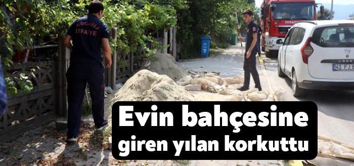Kocaeli'nin Kartepe ilçesinde evin bahçesine giren yılan paniğe sebep oldu.