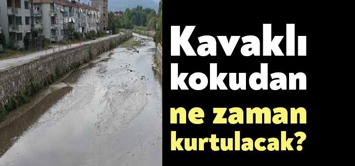 Gölcük Kavaklı Mahallesi’nde ağır kokuya neden olan ve mahalleliyi sıkıntıya