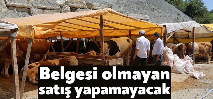 Gölcük Kurban Pazarı, Selimiye Köyü eski Taş Ocakları mevkiinde kuruldu.