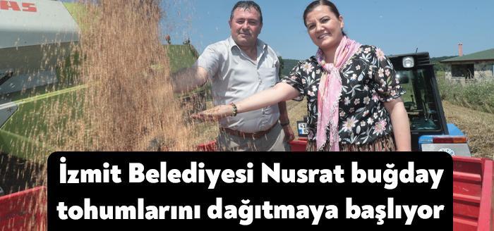 İzmit Belediyesi ve İzmit Ziraat Odası ortaklığında yürütülen Yerel Buğday