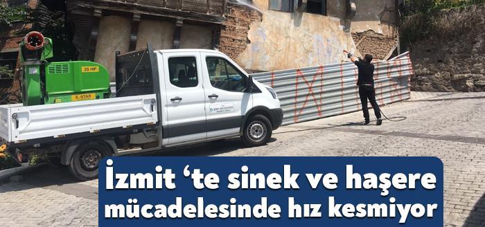 İzmit Belediyesi Veteriner İşleri Müdürlüğü, vatandaşların yaz dönemini daha rahat
