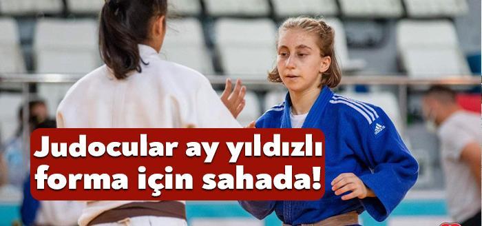 Kocaeli Büyükşehir Belediyesi'nin spor kulübü olan Kağıtspor’un başarılı judocuları Avrupa’da