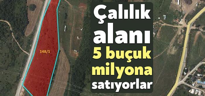 Kocaeli Çevre ve Şehircilik İl Müdürlüğü Gebze’de bulunan çalılık arsayı 5
