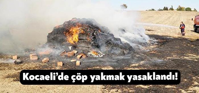 Kocaeli'de bahçede biriken çöpler yakılırken 2 yangın meydana geldi. Kocaeli