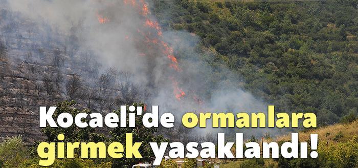 Kocaeli Valisi Seddar Yavuz, ülke genelinde ve kentimizde çıkan yangınlar