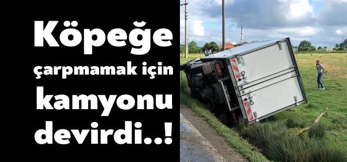 Kocaeli'nin Kandıra ilçesinde seyir halinde olan kamyonet sürücüsü, önüne çıkan